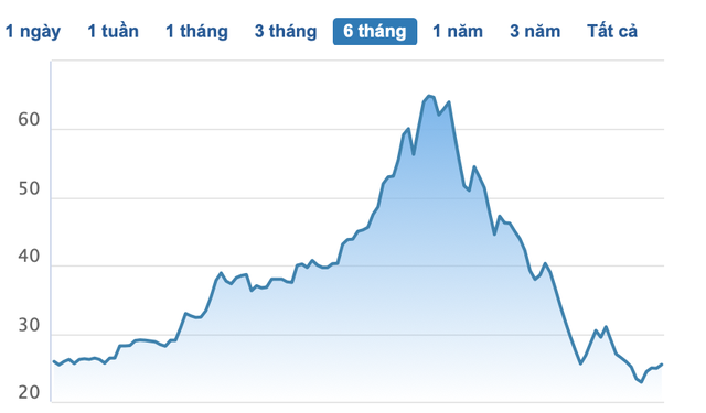 Khởi tố vụ án chôn chất thải trái phép tại xí nghiệp bóng đèn của Điện Quang, cổ phiếu DQC mất giá 60% trong gần 2 tháng - Ảnh 1.