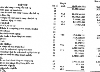 Kinh doanh cải thiện so với cùng kỳ, lợi nhuận quý 1 của Hải Minh (HMH) tăng 17% - Ảnh 1.