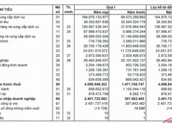 LDG báo lãi quý 1 hơn 2 tỷ đồng, hoàn thành 5,4% kế hoạch năm 2022 - Ảnh 1.