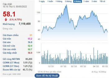 Liên tục bán ra dù thị giá giảm sâu, Him Lam không còn là cổ đông lớn DIC Corp (DIG) - Ảnh 1.