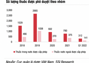 SSI Research: Lợi nhuận ngành dược tăng tích cực và ít bị ảnh hưởng hơn từ lạm phát - Ảnh 1.