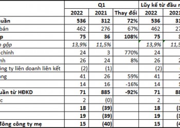 Lợi nhuận tăng mạnh quý 1/2022, Gỗ Trường Thành (TTF) vẫn lỗ lũy kế hơn 3.000 tỷ đồng - Ảnh 1.