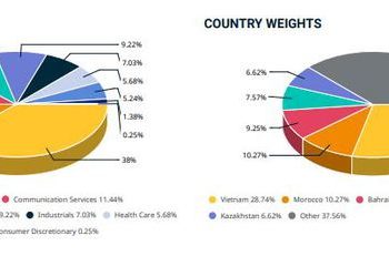 MSCI Frontier Market Index thêm mới DIG, DGC, KDH, DPM, SSI và VND - Ảnh 1.