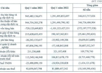 May Sông Hồng (MSH) báo lãi quý 1 giảm 11% so với cùng kỳ năm trước - Ảnh 1.