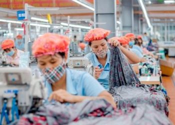 May Sông Hồng (MSH) chốt quyền chia cổ tức bằng cổ phiếu tỷ lệ 50%