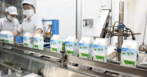 Mộc Châu Milk (MCM) chia tiếp cổ tức năm 2021 bằng tiền tỷ lệ 15%