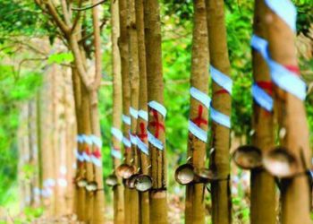 Một cá nhân bất ngờ chi đậm mua cổ phiếu TNC, thành cổ đông lớn