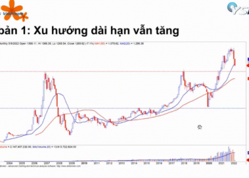 Chuyên gia Yuanta: Một phiên tăng điểm chưa thể khẳng định điều gì, chúng ta chỉ biết thị trường tạo đáy khi đã đi qua đáy - Ảnh 1.