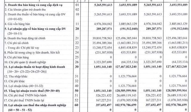 Mua mạnh cổ phiếu POW và PXL trong quý I / 2022, MHC thoát lỗ trong gang tấc - Ảnh 1.
