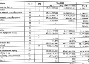 Mưa nhiều, lượng nước sản xuất tăng, Thủy điện Nậm Mu (HJS) báo lãi quý 1 tăng 37% so với cùng kỳ - Ảnh 1.