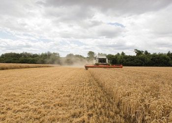 Ngăn chặn khủng hoảng nợ tại các nền kinh tế đang phát triển