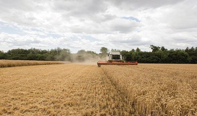 Ngăn chặn khủng hoảng nợ tại các nền kinh tế đang phát triển