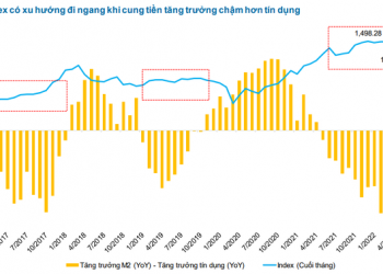 FiinGroup: Nhà đầu tư cá nhân có tháng bán ròng mạnh nhất từ đầu năm 2021 nhưng số dư tiền trên tài khoản lại không tăng tương ứng - Ảnh 1.