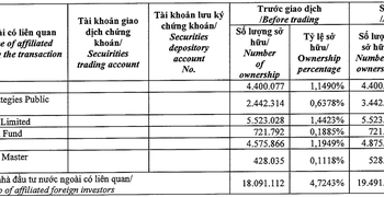 Nhóm quỹ Dragon Capital trở thành cổ đông lớn tại Nam Long (NLG) - Ảnh 1.