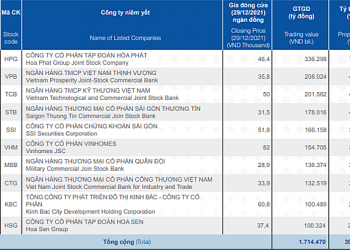 Những cổ phiếu giao dịch nhiều nhất HoSE - Ảnh 1.