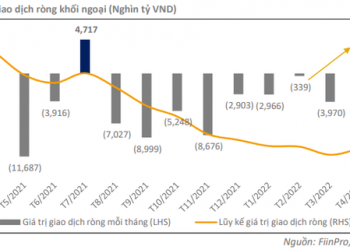 Những nhóm cổ phiếu nào có thể xuống tiền nửa cuối năm 2022? - Ảnh 1.