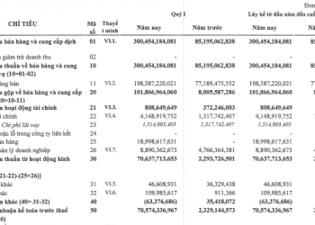 Ông chủ dự án Ecopark thứ 2 báo lãi quý 1 cao gấp 32 lần cùng kỳ, thành công chuyển dòng tiền kinh doanh từ âm hàng trăm tỷ sang dương - Ảnh 1.