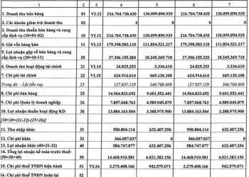 Phân lân Ninh Bình (NFC) hoàn thành 73% mục tiêu lãi cả năm chỉ trong quý 1 - Ảnh 1.