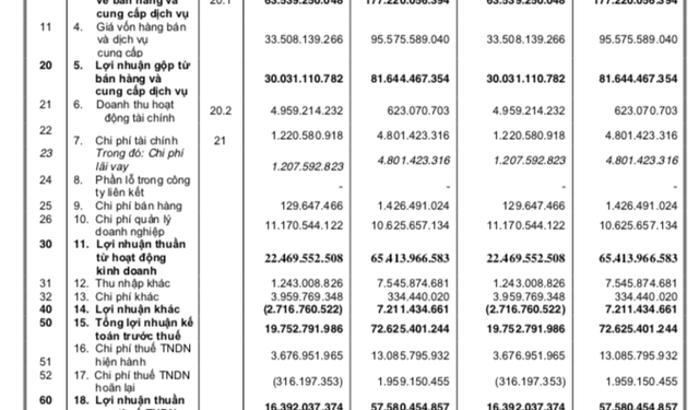 Quý 1, Tân Tạo (ITA) báo lãi giảm mạnh 72% so với cùng kỳ - Ảnh 1.
