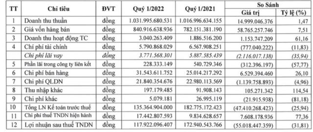 Đông Hải Bến Tre (DHC): Quý 1 lãi 118 tỷ đồng giảm 32% so với cùng kỳ - Ảnh 1.