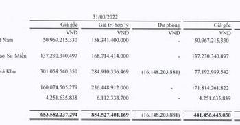 Đầu tư Sài Gòn VRG (SIP): Quý 1 lãi 235 tỷ đồng, tăng 13% so với cùng kỳ - Ảnh 1.