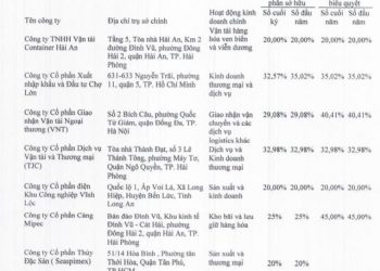 Transimex (TMS): Lợi nhuận quý I / 2022 gấp gần 3 lần cùng kỳ, đạt 60% kế hoạch cả năm - Ảnh 1.
