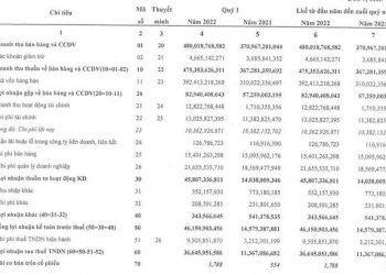 Hanosimex (HSM): Quý 1 lãi 47 tỷ đồng cao gấp 3 lần cùng kỳ - Ảnh 1.