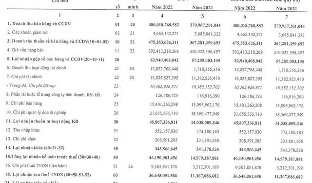 Hanosimex (HSM): Quý 1 lãi 47 tỷ đồng cao gấp 3 lần cùng kỳ - Ảnh 1.