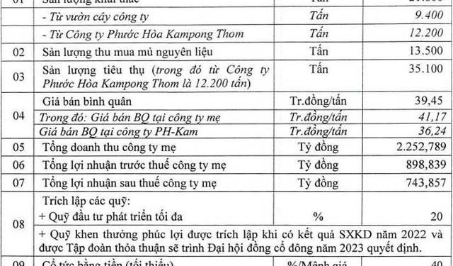 Quý 1 lãi đột biến, Cao su Phước Hòa (PHR) tiếp tục đề kế hoạch LNTT riêng gấp gần 5 lần trong quý 2/2022 - Ảnh 1.