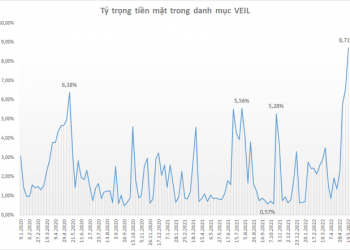 Quỹ lớn nhất do Dragon Capital quản lý nắm giữ hơn 4.200 tỷ đồng tiền mặt, cao kỷ lục trong nhiều năm - Ảnh 1.