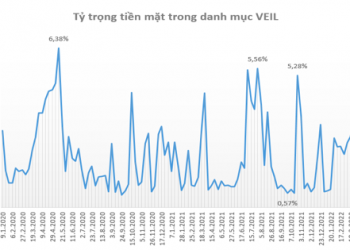 Quỹ lớn nhất do Dragon Capital quản lý tăng tỷ trọng tiền mặt lên mức cao nhất trong vòng 2 năm - Ảnh 1.