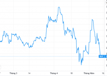 Saigontel sẽ chào bán 74 triệu cổ phiếu cho cổ đông hiện hữu trong quý II và III - Ảnh 1.
