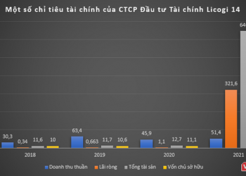 Sắp IPO, CTCP Đầu tư Tài chính Licogi 14 làm ăn ra sao? - Ảnh 1.