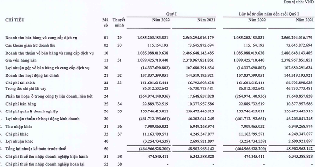 Tập đoàn FLC báo lỗ sau thuế 466 tỷ đồng trong quý I / 2022 - Ảnh 1.