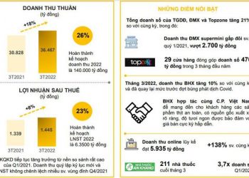 Thế giới Di động (MWG) đạt kỷ lục về doanh thu trong một quý - Ảnh 1.