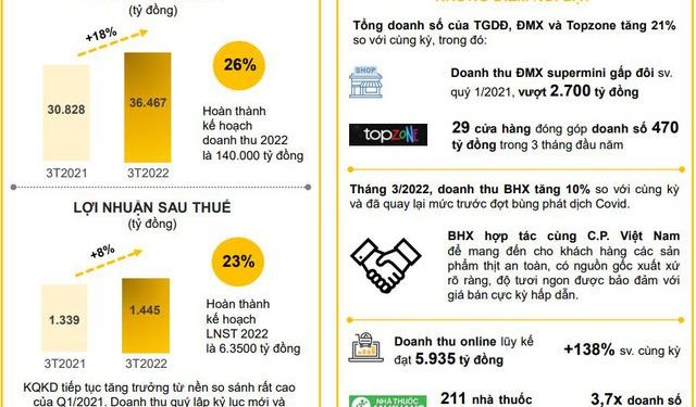 Thế giới Di động (MWG) đạt kỷ lục về doanh thu trong một quý - Ảnh 1.