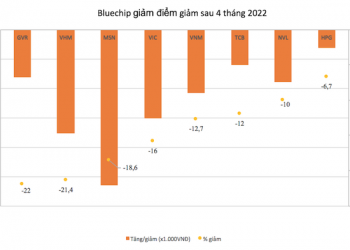 Thị trường biến động, loạt cổ phiếu Bluechips giảm sâu sau 4 tháng đầu năm - Ảnh 1.