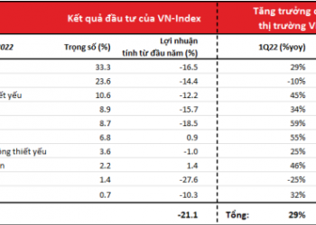 VinaCapital: Thị trường chứng khoán Việt Nam sẽ đi lên nhờ triển vọng tích cực từ nền kinh tế - Ảnh 1.