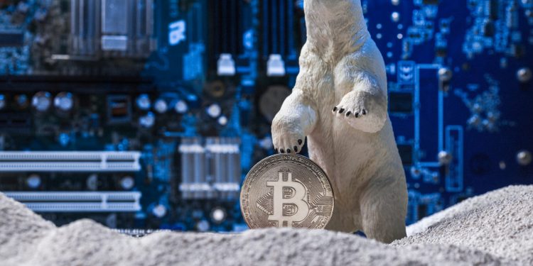 Charles Hoskinson cho rằng sẽ mất vài tháng để tiền điện tử tìm thấy đáy.