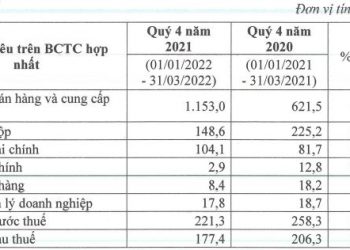 Tiền gửi tăng gần 3.000 tỷ đồng, Tài chính Hoàng Huy (TCH) báo lãi niên độ 2021/22 giảm 40% - Ảnh 1.