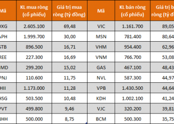 Tự doanh CTCK bán ròng 604 tỷ đồng trong tuần đầu HoSE công bố dữ liệu trở lại - Ảnh 1.