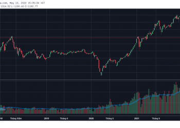 Tuần giảm điểm kỷ lục của chứng khoán, VN-Index thủng mốc 1.200, trở về vùng điểm năm 2018 - Ảnh 1.