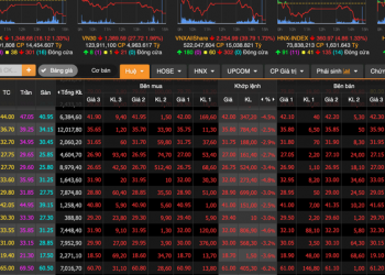 VN-Index chào tháng 5 loạt cổ phiếu giảm điểm, thanh khoản duy trì mức thấp, vốn hoá HoSE mất đi 72.000 tỷ - Ảnh 1.