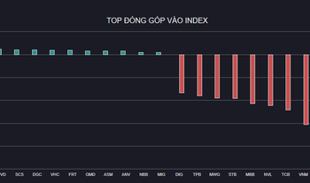 VN-Index đảo chiều giảm gần 22 điểm, nhóm thủy sản ngược dòng bứt phá - Ảnh 1.