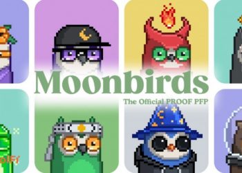 Lời cảnh báo cho các chủ sở hữu NFT sau khi 29 Moonbirds bị đánh cắp