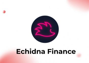 Echidna Finance là gì ($ECD)? Giao thức thúc đẩy lợi nhuận cho Platypus Finance 2022