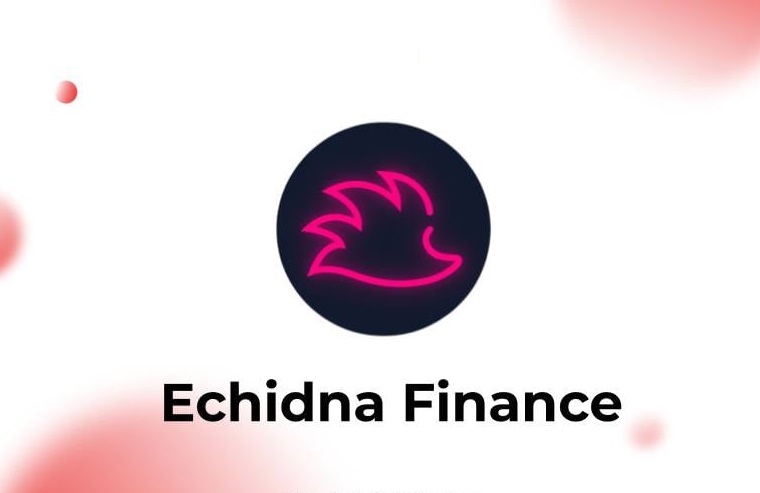 Echidna Finance là gì ($ECD)? Giao thức thúc đẩy lợi nhuận cho Platypus Finance 2022