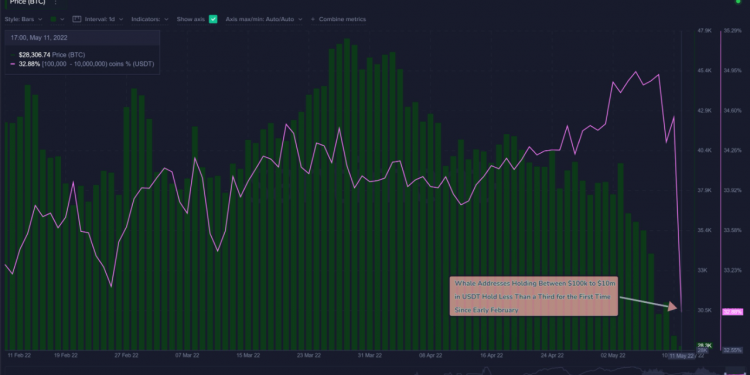 Cá voi bán Tether trị giá 710 triệu USD trong nỗi sợ hãi de-peg, USDT giao dịch mức 1 USD