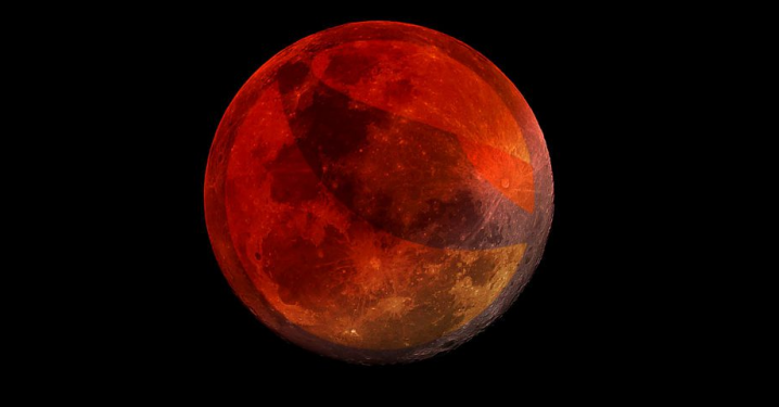 ViMoney: CEO Do Kwon sắp bị các nhà đầu tư Hàn Quốc khởi kiện, đề xuất “tái sinh” Terra đã nhận được hơn 110 triệu phiếu ủng hộ