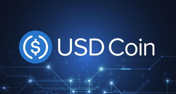 USD Coin là gì ($USDC)? Tìm hiểu về đồng stablecoin USD kỹ thuật số hàng đầu thế giới